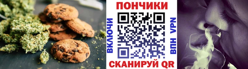 Купить закладки  Олонец  Cannafood конопля 