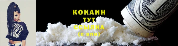 индика Богданович
