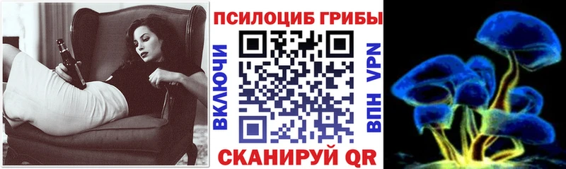 Купить закладки Олонец Псилоцибиновые грибы Magic Shrooms