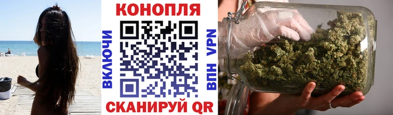 Купить  Олонец  Шишки марихуана индика 